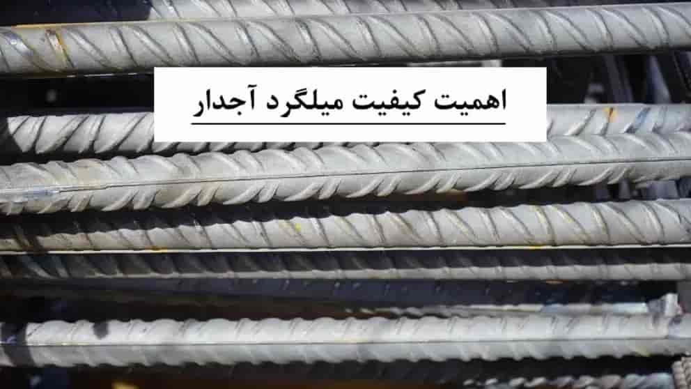 1709717263825.webp