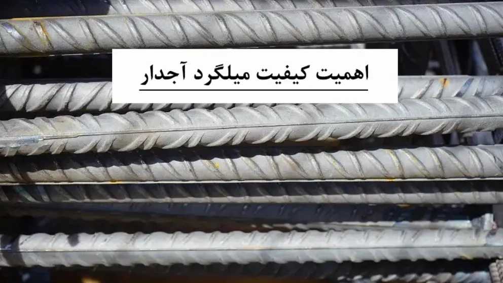 1709717263825.webp